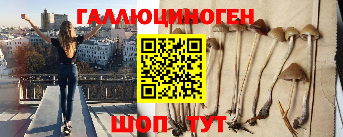 Галлюциногенные грибы Magic Shrooms  Псилоцибиновые грибы прущие грибы  Вход с VPN  Нерюнгри 